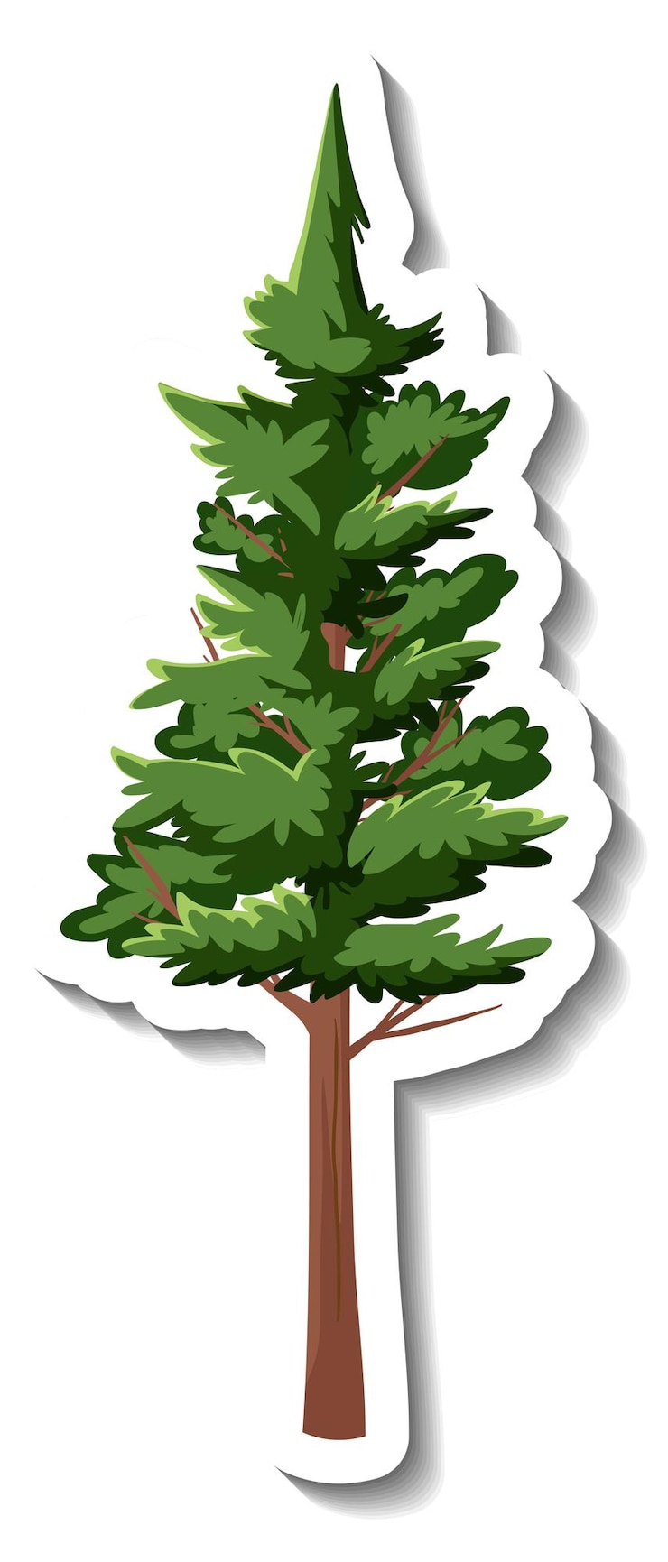 Vettore gratuito adesivo albero sempreverde su sfondo bianco