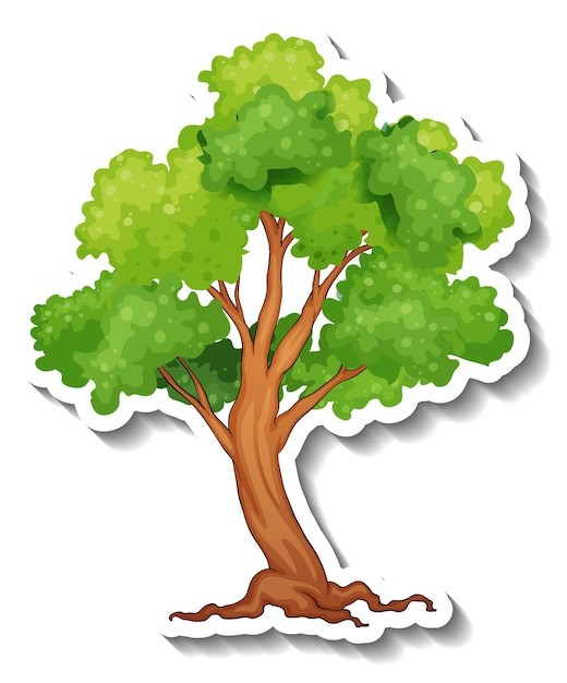 Adesivo albero su sfondo bianco