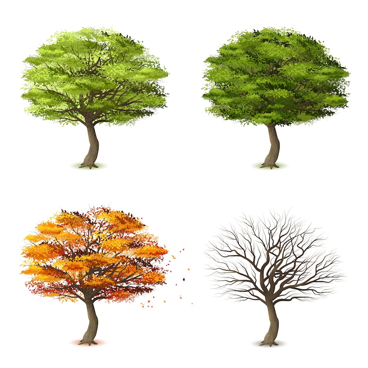 Vettore gratuito alberi in quattro stagioni