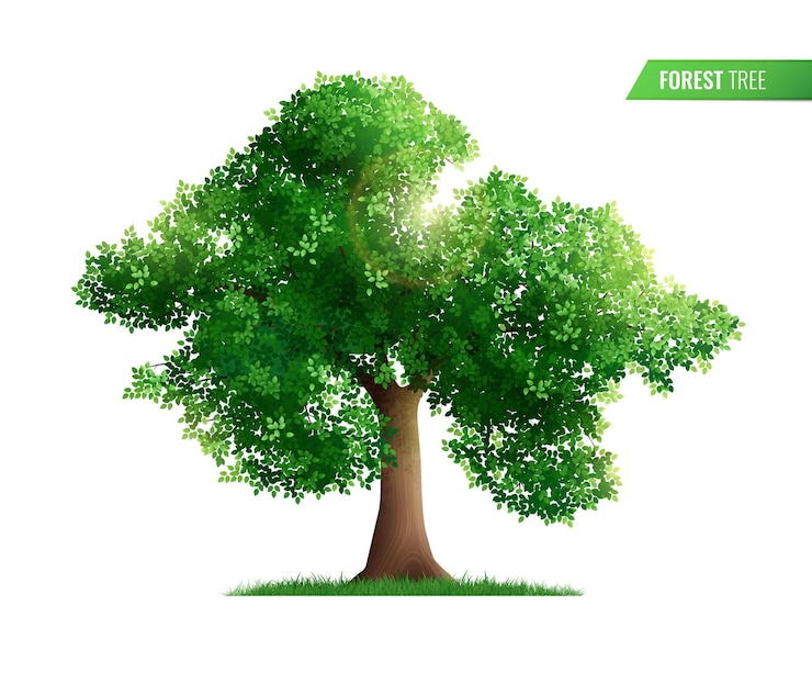 Vettore gratuito albero della foresta isolato