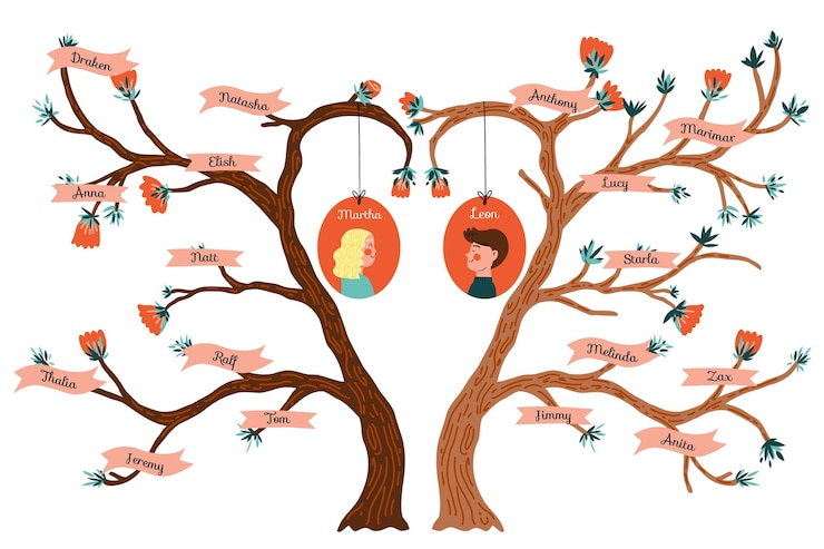 Vettore gratuito albero genealogico disegnato a mano con rami