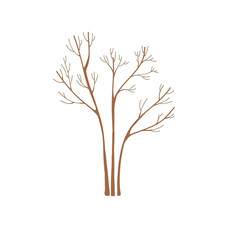 Vettore gratuito albero