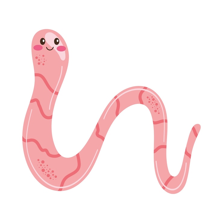 Vettore gratuito animale verme rosa