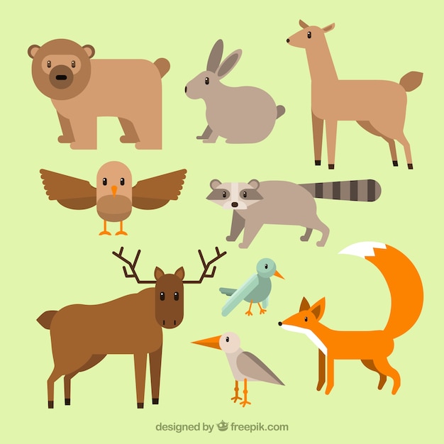 animali della foresta Nizza