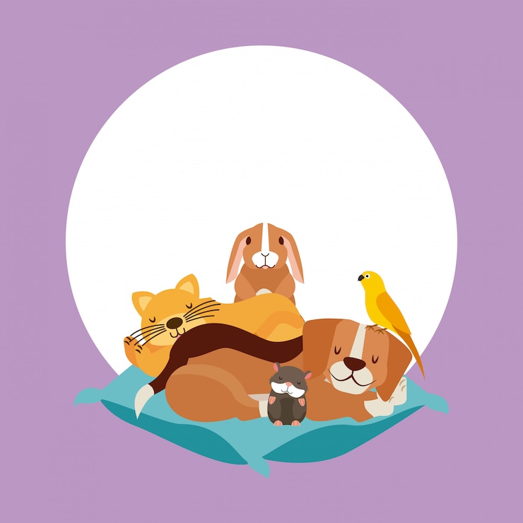 Vettore gratuito animali domestici e veterinari