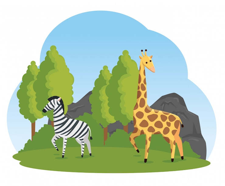 Vettore gratuito animali selvatici della giraffa e della zebra nel safari della natura