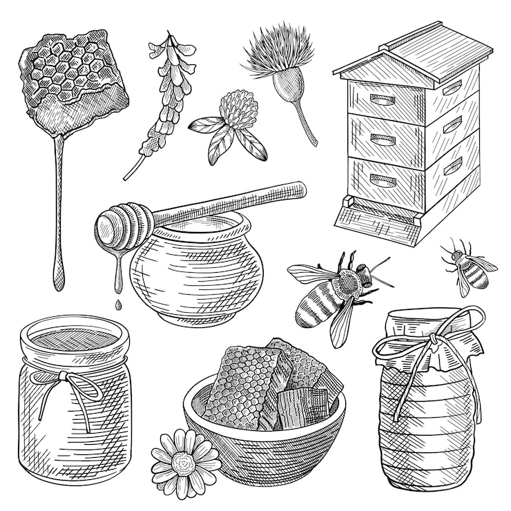 Vettore gratuito ape, miele in vaso, alveare, favo, cucchiaio, fiori, set