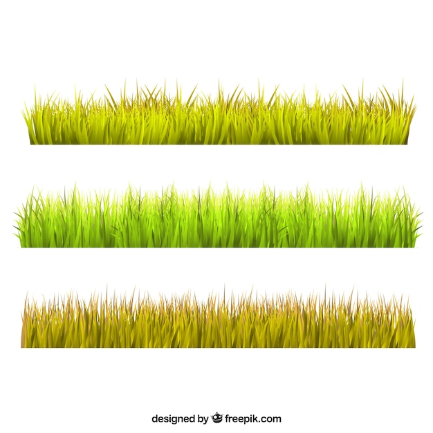 Assortimento di confini erba piatte