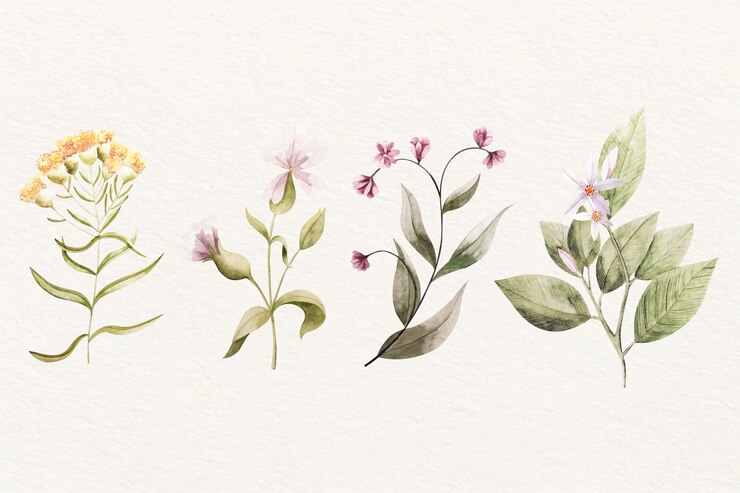 Vettore gratuito assortimento di fiori botanica vintage