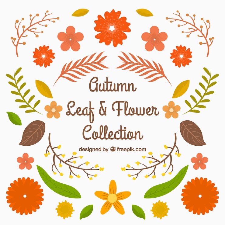 Vettore gratuito assortimento di fiori graziosi e foglie di autunno