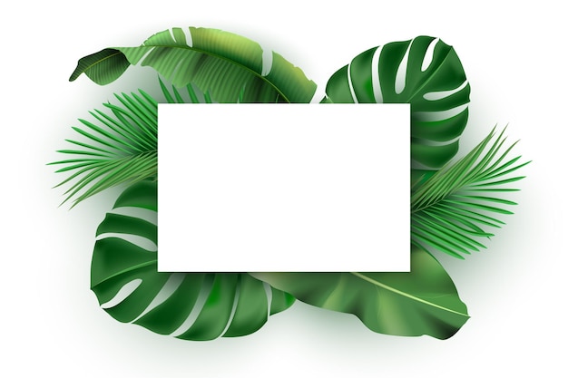 Banner bianco su foglie tropicali verdi modello di design esotico per matrimonio biglietto di auguri tropicana partito volantino viaggi e cosmetici spa di bellezza isolati su sfondo bianco