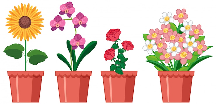 Vettore gratuito bei fiori nel giardino su fondo bianco