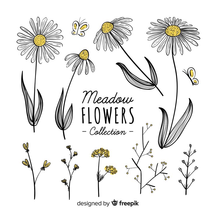 Vettore gratuito bella collezione di fiori disegnati a mano