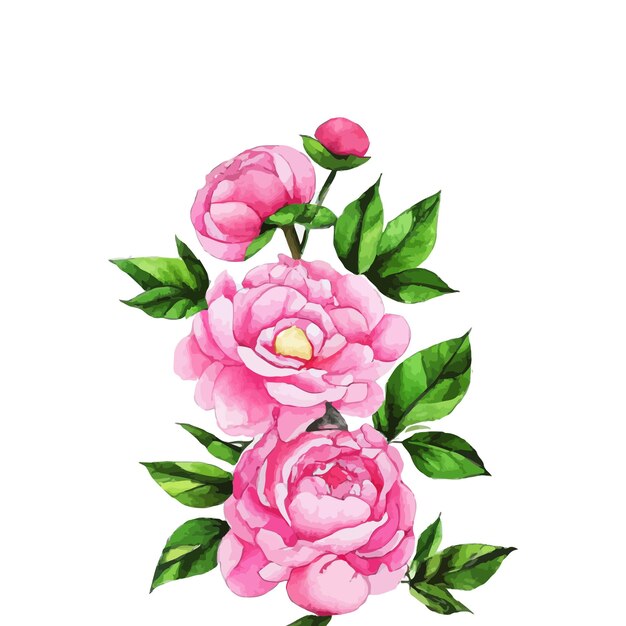 Bella illustrazione della pianta del fiore dell'acquerello