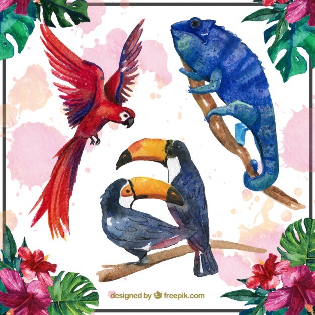 Vettore gratuito bellissimi animali tropicali