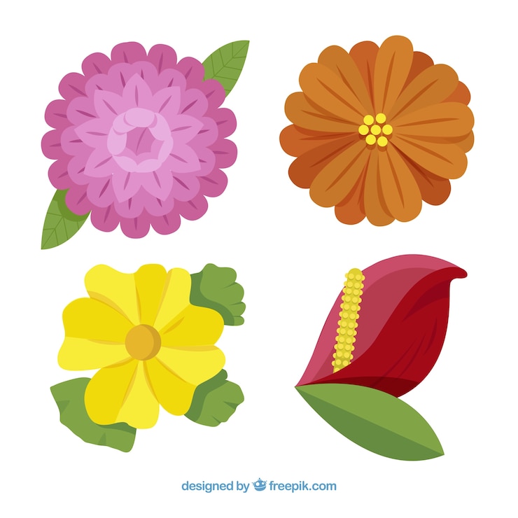 Vettore gratuito bellissimi fiori tropicali
