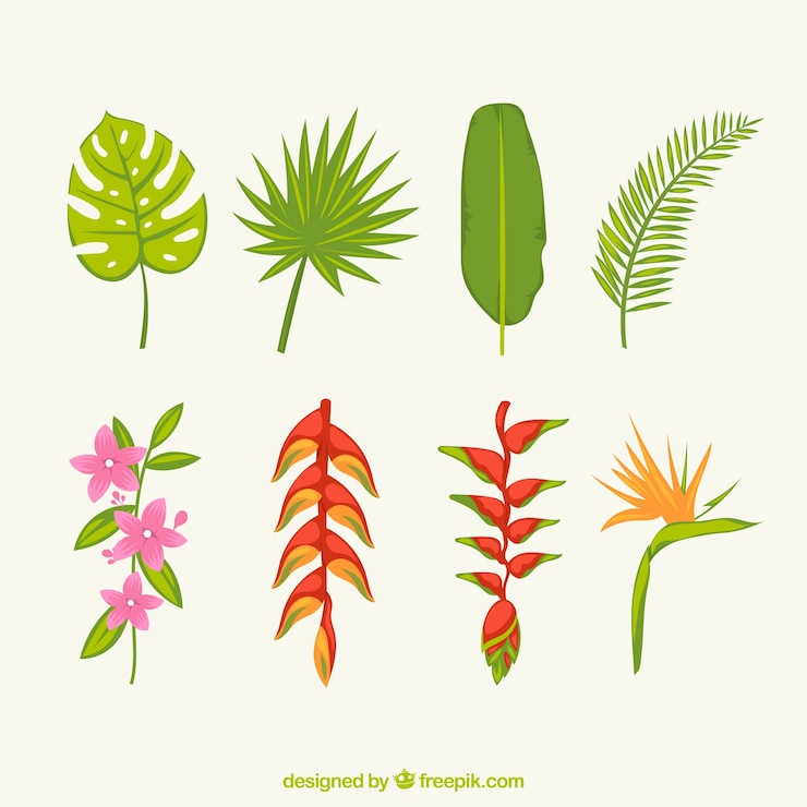 Vettore gratuito bellissimi fiori tropicali
