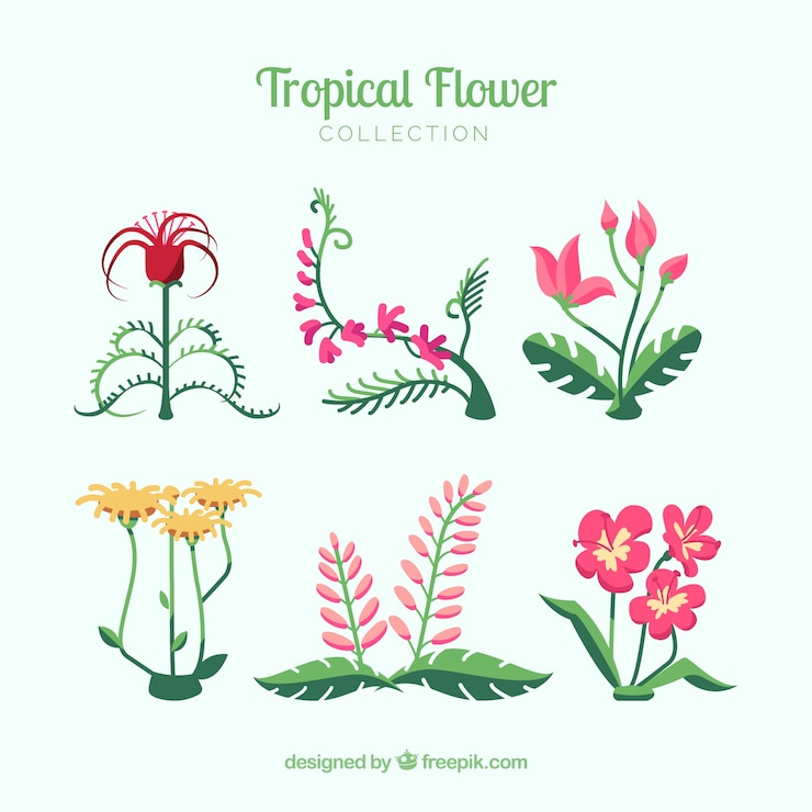 Vettore gratuito bellissimi fiori tropicali