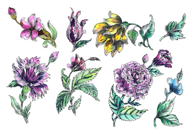 Bellissimo mazzo di fiori set disegno ad acquerello