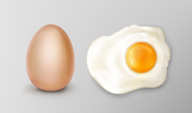 Bellissimo set di illustrazioni per uova