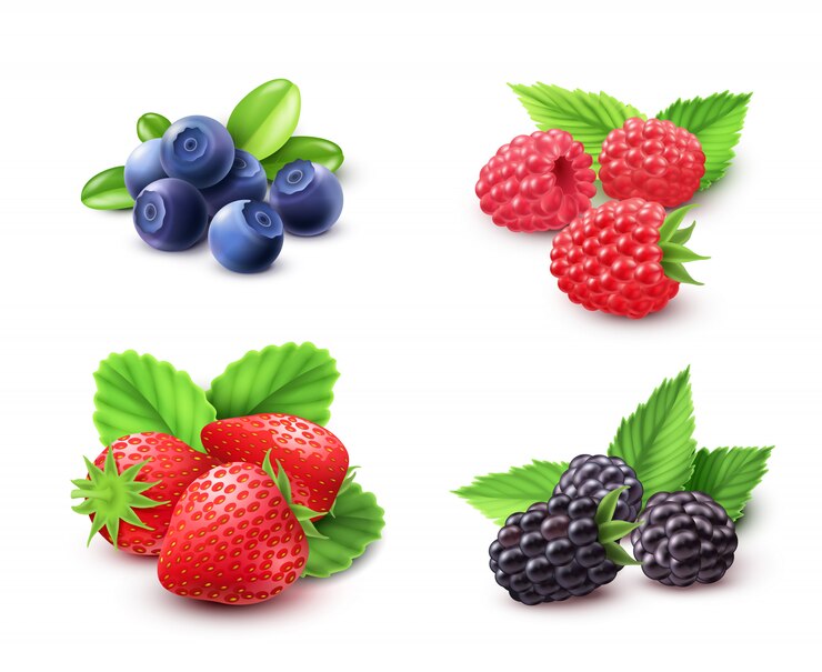 Vettore gratuito berry set realistico
