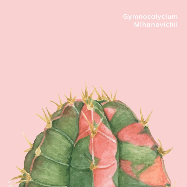 Cactus della luna di mihanovichii di gymnocalycium disegnato a mano