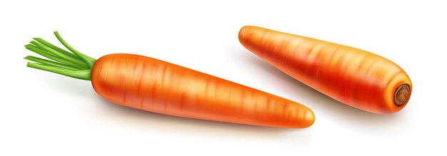 Carota con foglie verdi vettore isolato