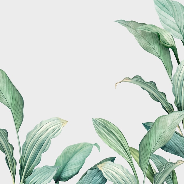 Carta di botanica