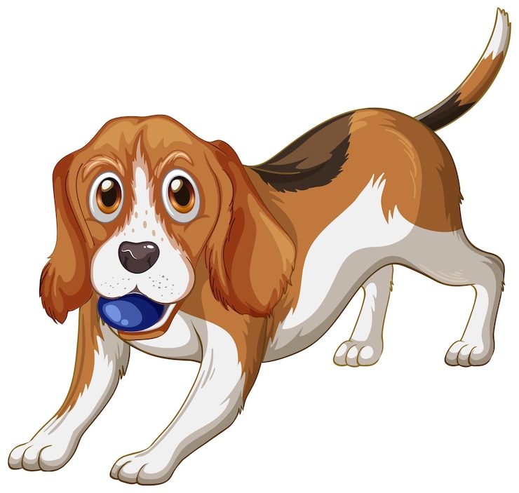 Vettore gratuito cartone animato del cane beagle su sfondo bianco