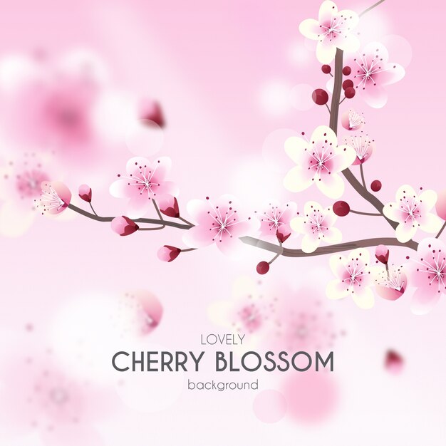 Cherry Blossom Background