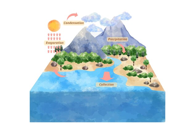 Ciclo dell'acqua dell'acquerello