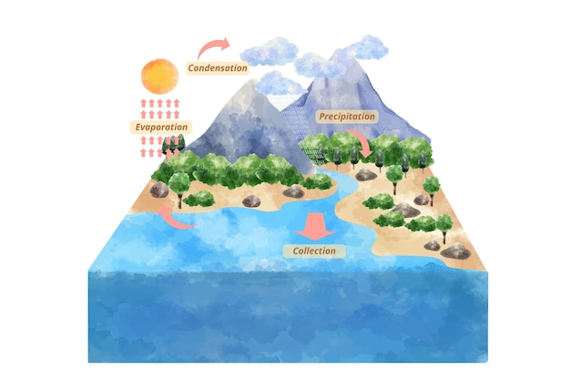 Ciclo dell'acqua dell'acquerello
