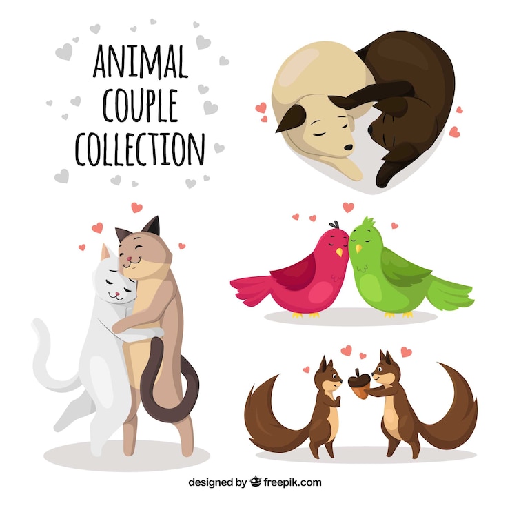 Vettore gratuito collezione coppie animali per san valentino