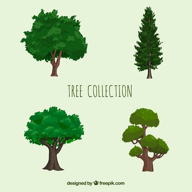 Collezione di alberi in stile realistico