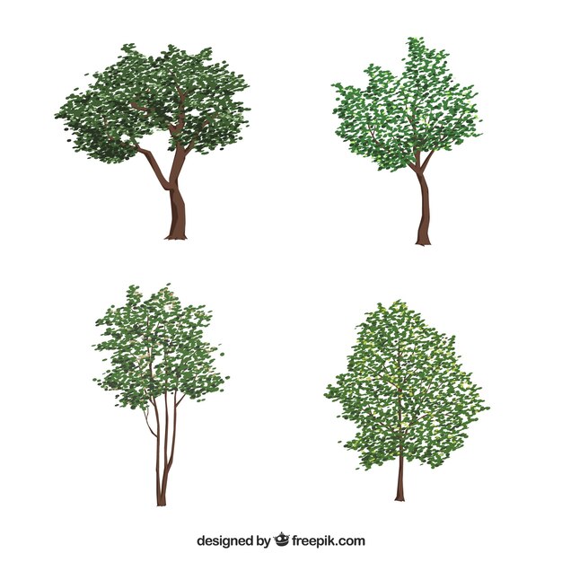 Collezione di alberi in stile realistico