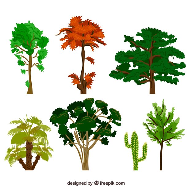 Collezione di alberi stile disegnato a mano