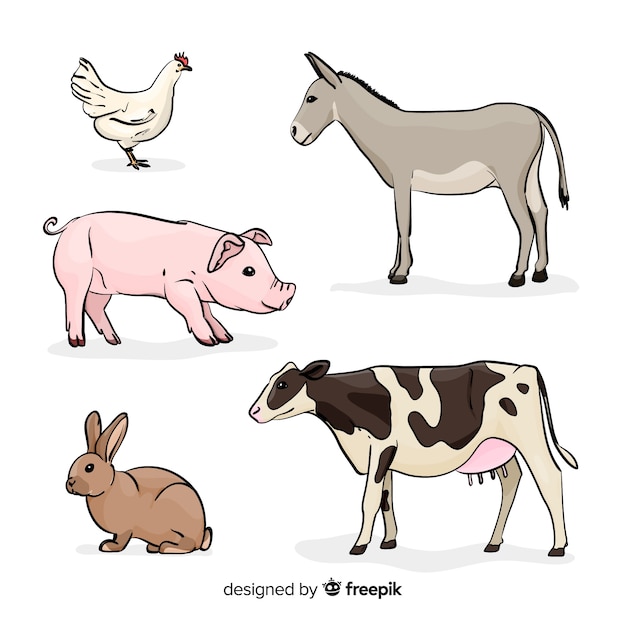 Collezione di animali da fattoria in mano stile disegnato