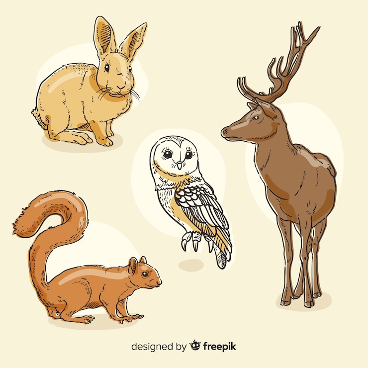 Vettore gratuito collezione di animali della foresta autunno disegnato a mano