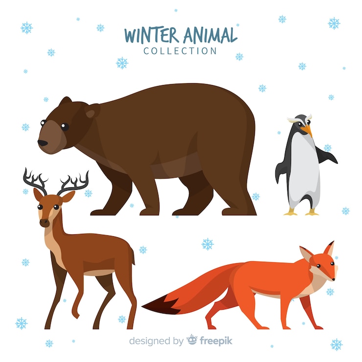 Vettore gratuito collezione di animali invernali