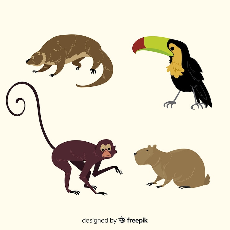 Vettore gratuito collezione di animali tropicali disegnati a mano
