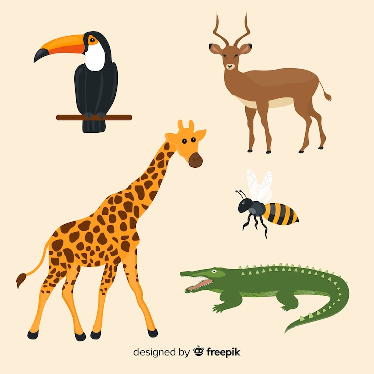 Vettore gratuito collezione di animali tropicali disegnati a mano