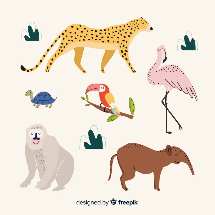 Vettore gratuito collezione di animali tropicali disegnati a mano