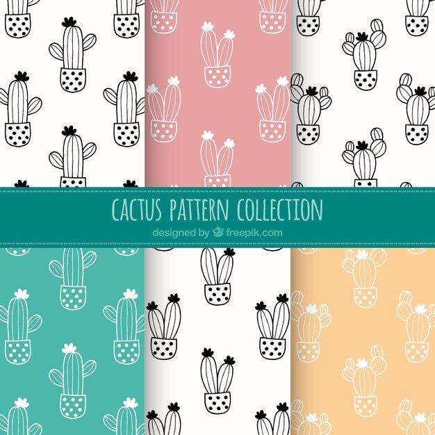 Collezione di cactus disegnata a mano