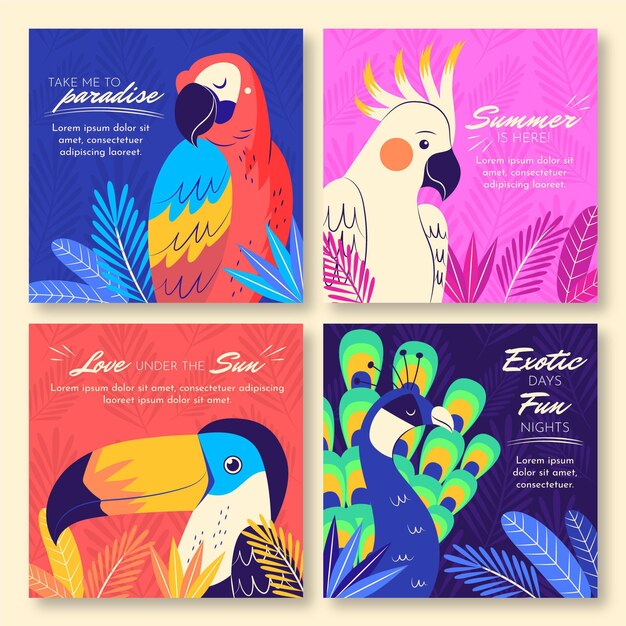 Collezione di carte estive