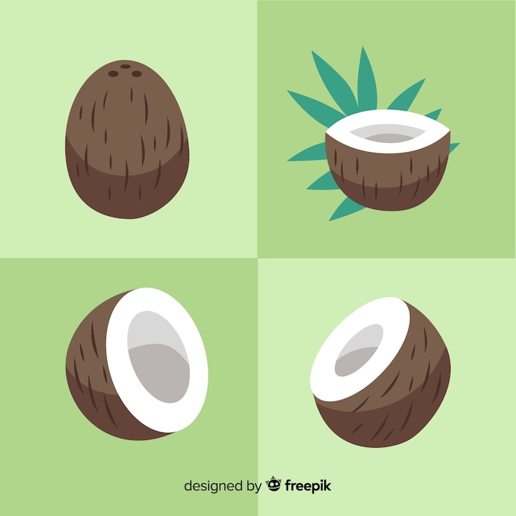 Vettore gratuito collezione di cocco disegnato a mano