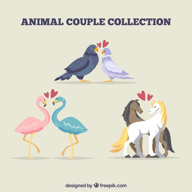 Vettore gratuito collezione di coppie animali san valentino