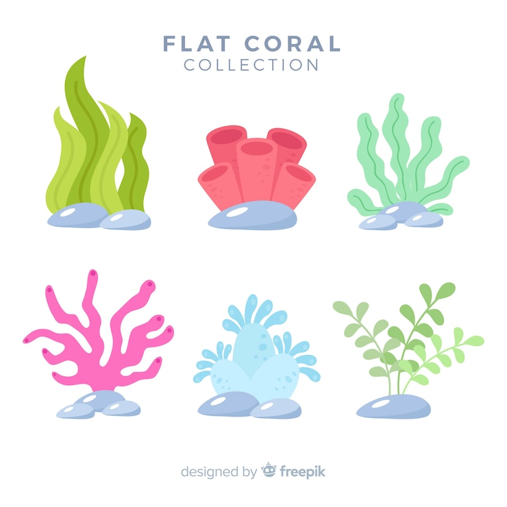 Vettore gratuito collezione di coralli colorati disegnati a mano