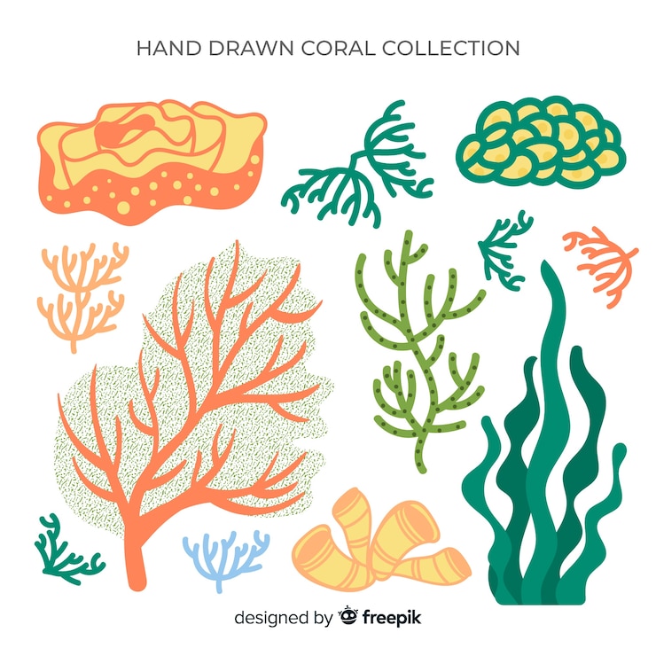 Vettore gratuito collezione di coralli disegnati a mano
