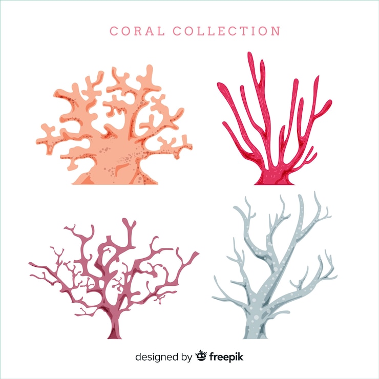 Vettore gratuito collezione di coralli disegnati a mano