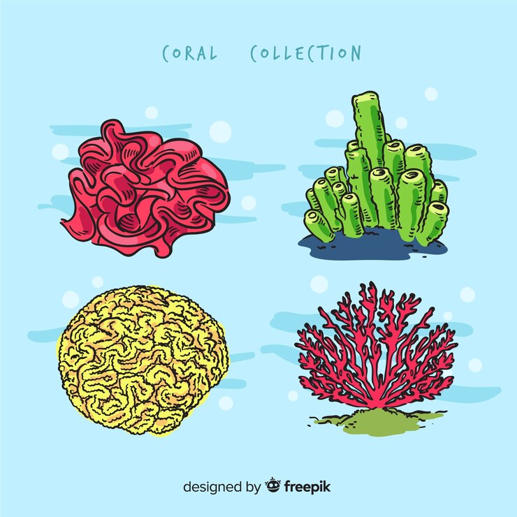 Vettore gratuito collezione di coralli disegnati a mano
